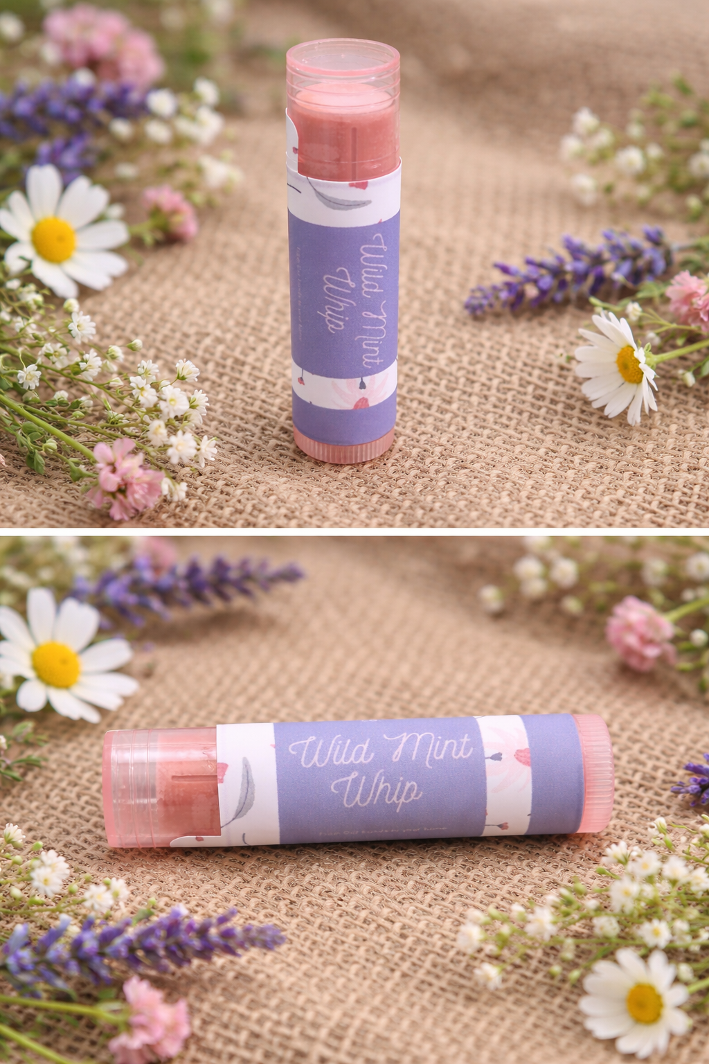 Tallow Lip balms